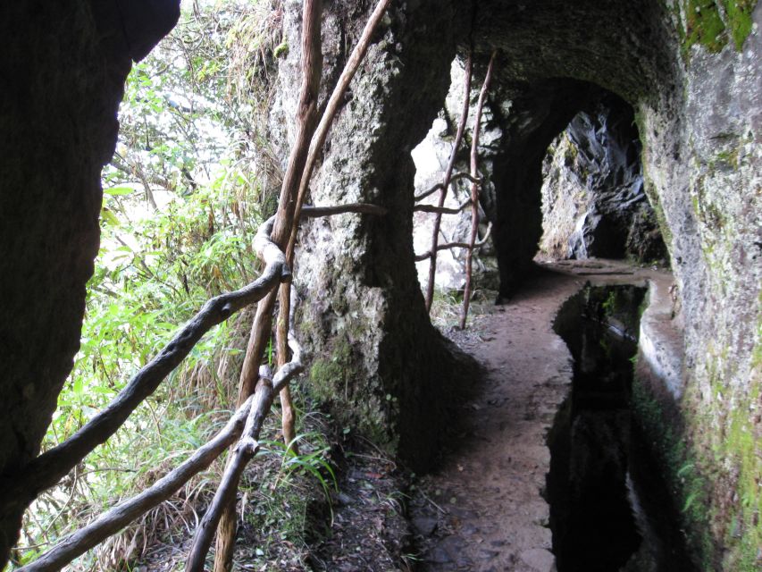 Ribeiro Frio / Portela - Levada Walk - Highlights of the Walk