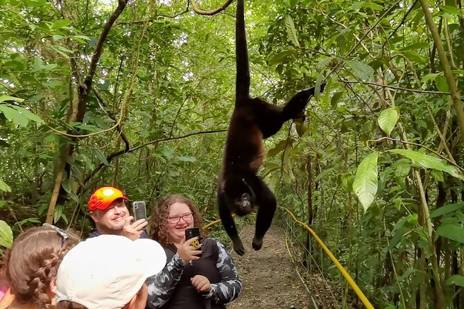 Rio Celeste, Waterfalls, Rain Forest Volcanoes and Sloth Habitat Private Tour - Cancellation Policy and Booking Details