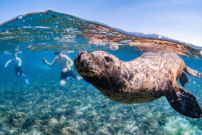 Rottnest Island Snorkel and Sail - What to Expect Onboard