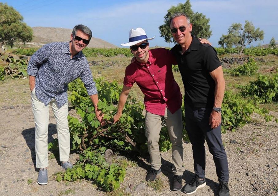 Santorini: Small-Group Sunset Wine Tour With Santo Winery - Availability and Inclusions