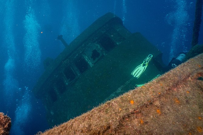 Scuba Diving Multi Dives in Playa De La Americas - Marine Life Encounters