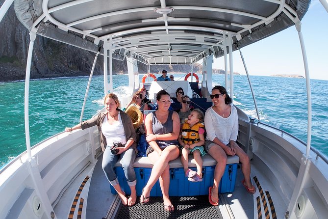 Seal Island Boat Tour From Victor Harbor - Wildlife and Marine Life