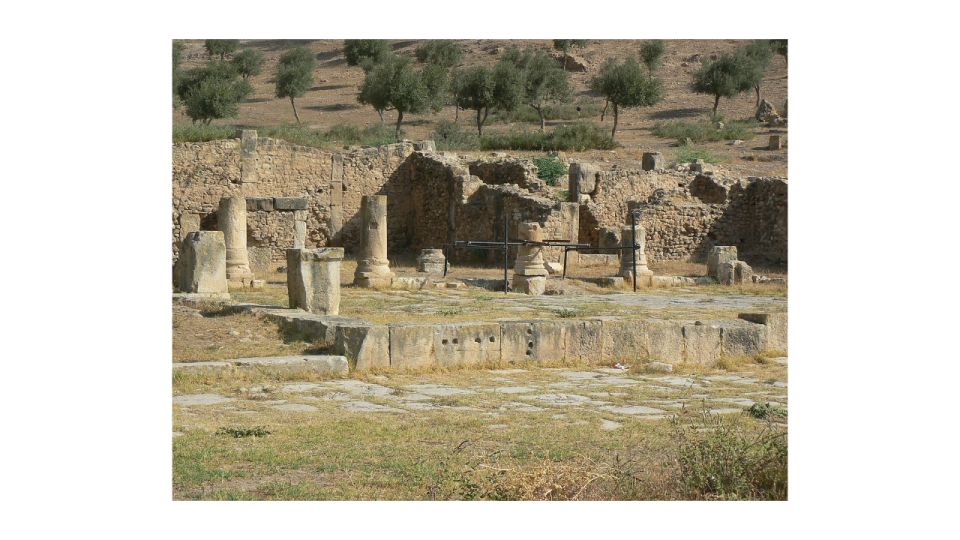 Self-Discovery: Dougga & Bulla Regia Adventure - Price & Inclusions