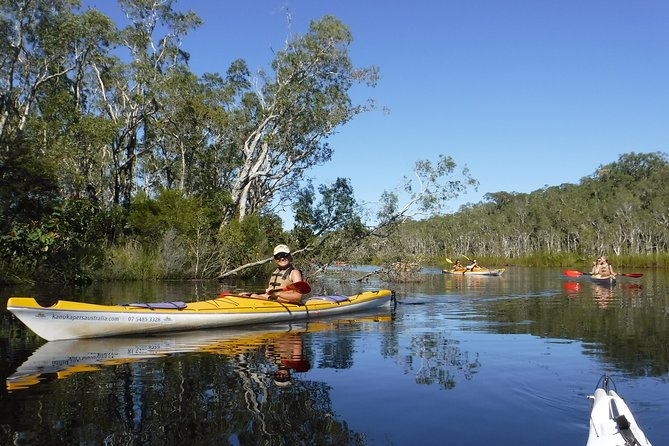 Self-Guided Noosa Everglades Kayak Tour - Whats Included in the Tour