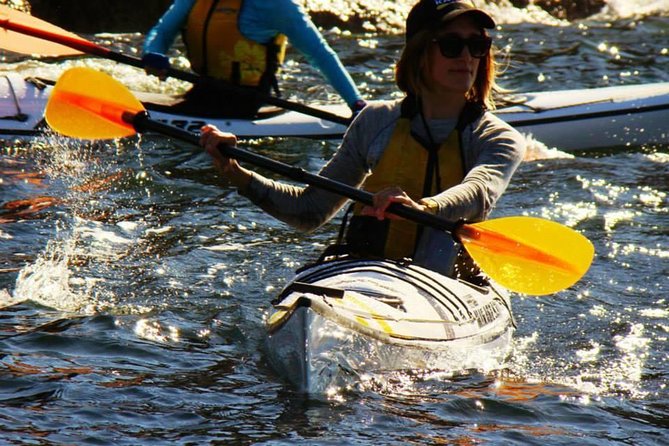 Self-Guided Sydney Middle Harbour Kayak 3 Hour Tour by Single Kayak - Essential Information and Details