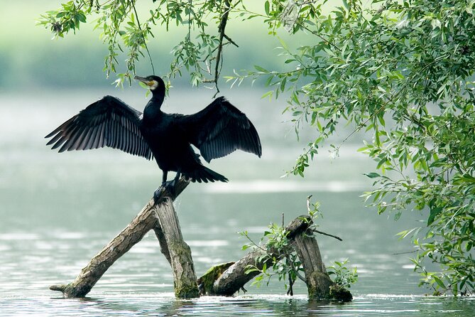 Serenity Cruise to Australias Everglades - Onboard Experience Highlights