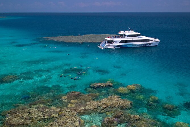 Silversonic Outer Great Barrier Reef Cruise From Port Douglas - What to Expect on Board