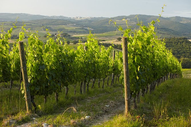 Small-Group Chianti Trip With Wine Tasting From Siena - Booking Information