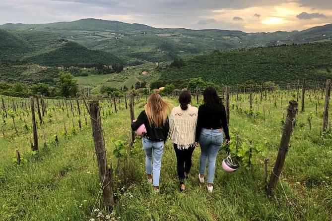 Small Group Wine Tasting in Tuscany With Vineyard Visit - Meeting and Pickup Information