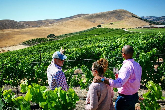 Small-Group Wine Tour to Private Locations in Santa Barbara - Tour Highlights and Experiences