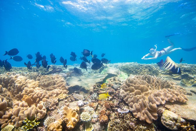 Sunlover Reef Cruises Cairns Great Barrier Reef Experience - Important Booking Conditions