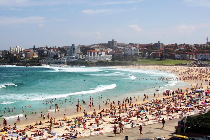 Sydney Half Day Private Tour: See Sydney Opera House and Bondi - Expert Guide and Comfortable Ride