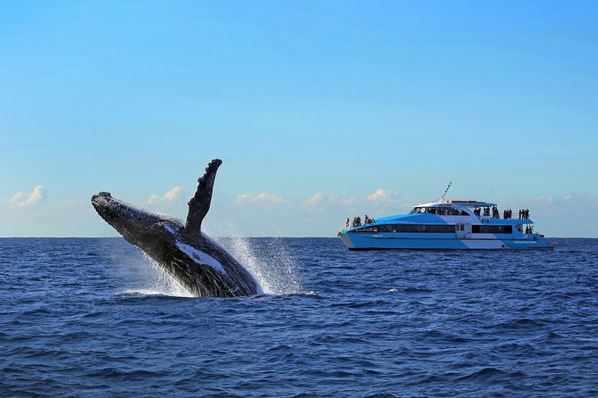 Sydney Harbour Ferry With Taronga Zoo Entry and Whale Watching Cruise - Ferry Ride and City Views