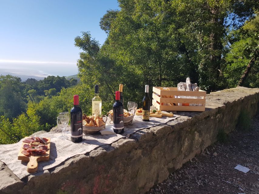 Taste of Sintra's Wonders Wine&Tapas Private Tour - Experience Description