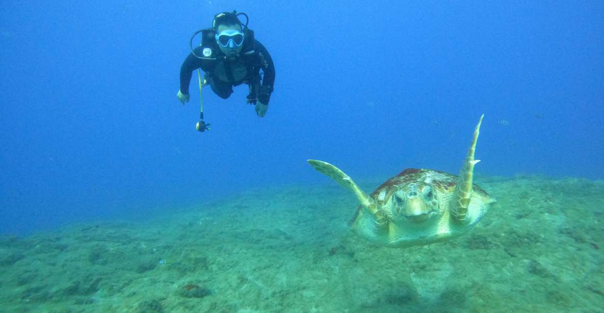 Tenerife: PADI Advanced Open Water Diver Course - Course Description