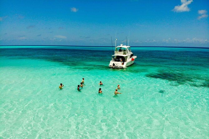 The Best Cozumel Snorkeling Tour Palancar, Colombia and El Cielo Reefs - Marine Life Encounters and Conservation