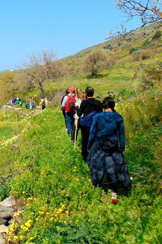 Tinos: Tarampados to Komi Guided Hiking Tour - Booking Information