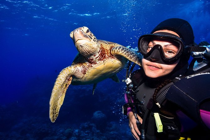 Tusa Reef Tours All Inclusive Great Barrier Reef Tour From Cairns - Meeting and Pickup Points