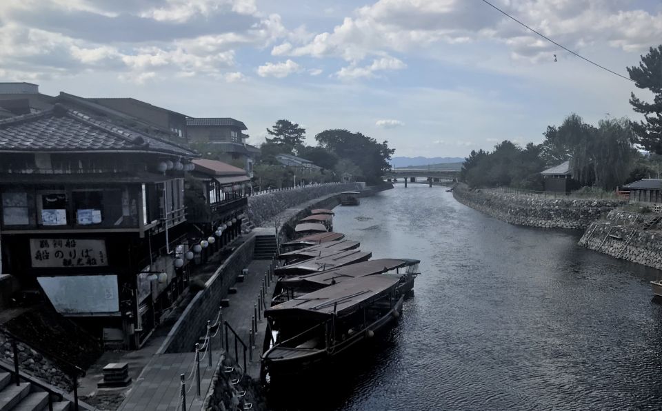 Uji: Green Tea Tour With Byodoin and Koshoji Temple Visits - Experience Highlights and Itinerary