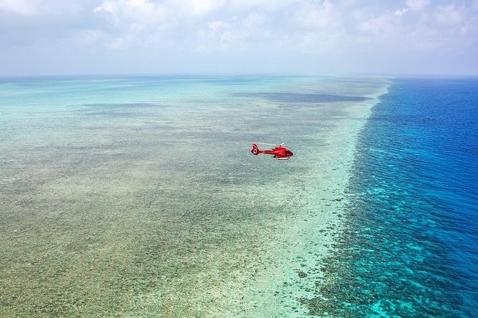 Ultimate Great Barrier Reef and Rainforest 45-minute Helicopter Tour - Important Safety Guidelines