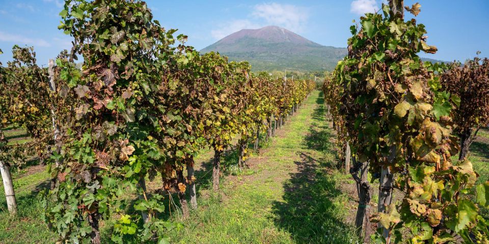 Vesuvius Valley and Pompeii With Wine Taste and Lunch by Van - Inclusions