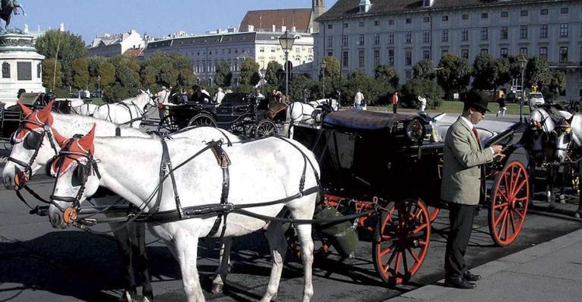 Vienna: Mozart Concert With Dinner and Carriage Ride - Itinerary Highlights