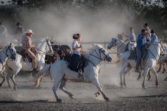 Visit and Discovery in the Heart of the Camargue - Wildlife Encounters