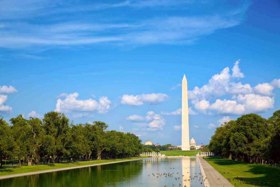 Washington DC National Mall Exploration Game - Booking Details