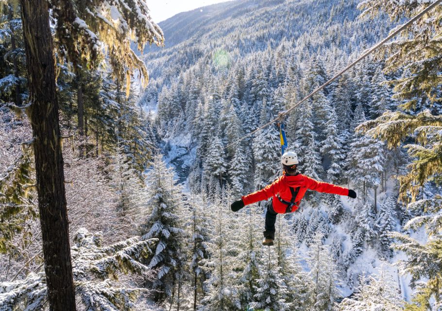 Whistler Zipline Experience: Ziptrek Eagle Tour - Tour Duration