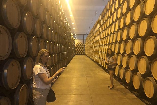 Windmills of Don Quixote Wine Tour & Tasting From Madrid - Additional Details