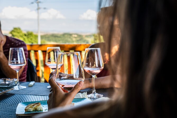 Wine Tasting at the Winery in the Panoramic Terrance - Wine Selection and Pairings