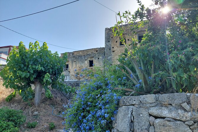 Wine Tasting: Meet the Cretan Vineyard at West Chania - Booking Information and Tips