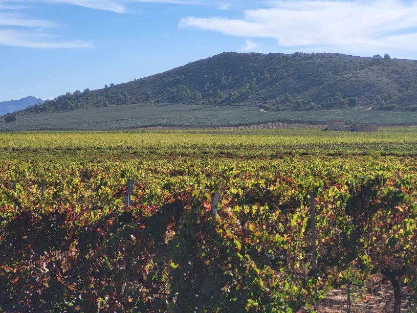 Wine Trip in the Alicante Region Served 4 Courses Lunch! - Inclusions