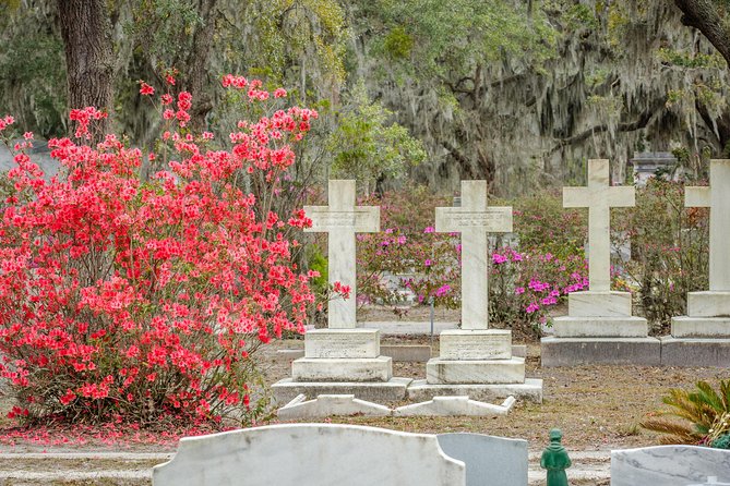 Wormsloe Historic Site & Bonaventure Cemetery Tour From Savannah - Customer Feedback