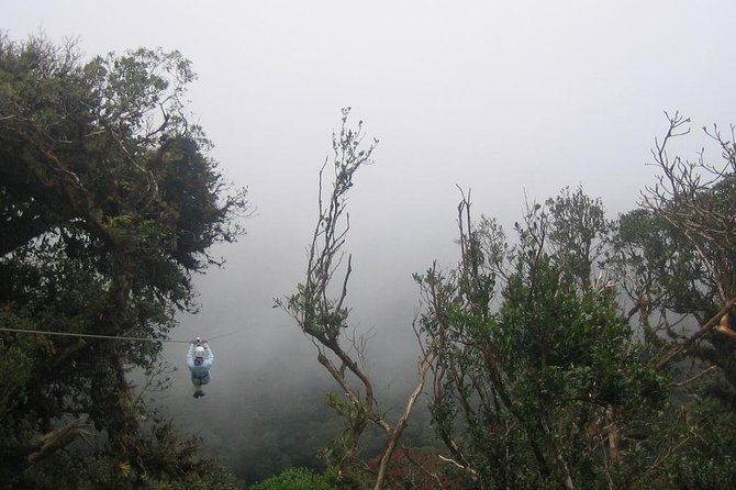 Zipline and Hanging Bridges Combo Tour in Monteverde Cloud Forest - Logistics and Pickup Information