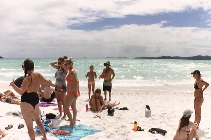 1-Day Whitsunday Islands Cruise: Whitehaven Beach and Hill Inlet - Tour Operator and Crew