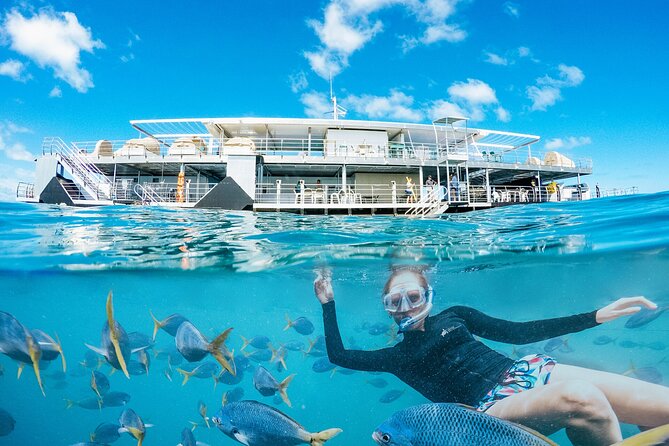 2-Day Great Barrier Reef: Reefsleep Experience - What to Expect Onboard