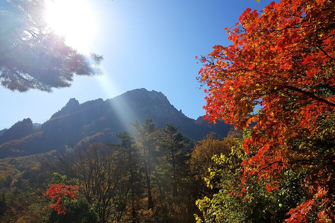 2-days: Mt Seorak, East Sea(Naksansa) & Nami or Ulsanbawi Hiking - East Sea and Nami Island Adventure