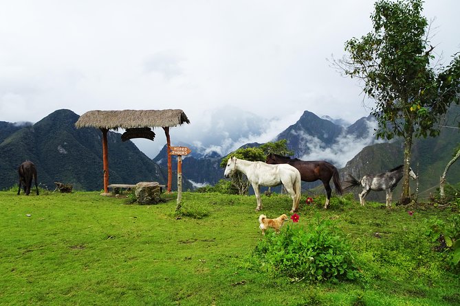 5-Day Salkantay Trail Trekking Tour From Cusco - Final Words