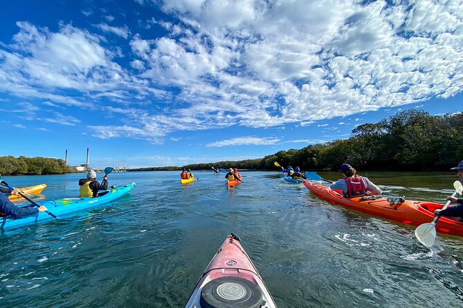 Adelaide Dolphin Sanctuary Mangroves Kayaking Tour - Whats Included in the Tour