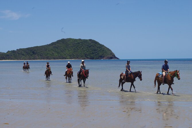 Afternoon Beach Horse Ride in Cape Tribulation - Essential Tour Information