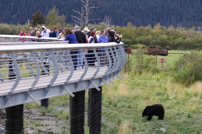 Alaska Wildlife Day Tour With Free Hotel Pickup - Booking Information and Viator Details