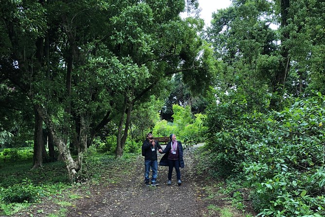 Alices Journeys Walking Tours of Daylesford 1.45pm FRI 9.45am SAT - Important Health and Safety