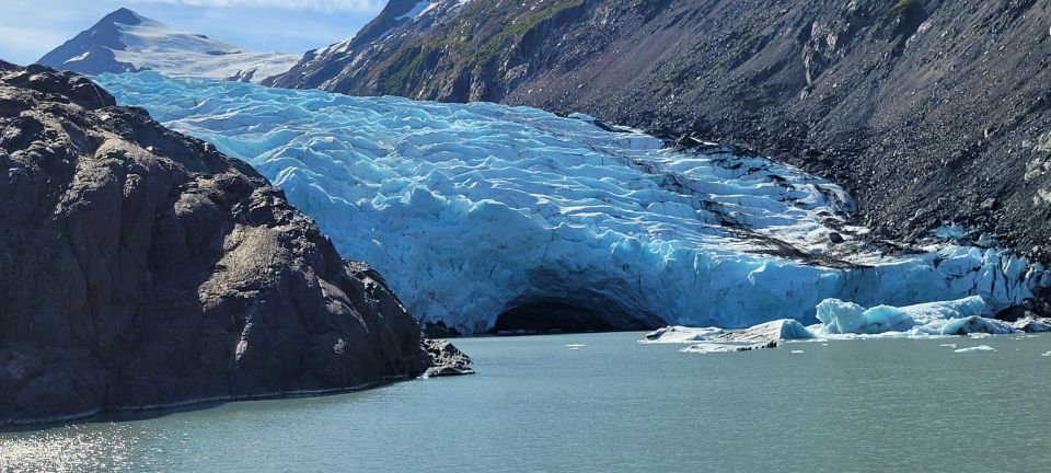 Anchorage: Glacier and Wildlife Explorer Cruise - Informative Wildlife Conservation Center Tour