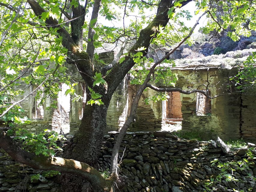 Andros Watermills Guided Hiking Tour - Included Items