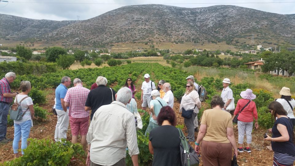 Athens: Private Wine Tour and Lunch at the Seaside - Restrictions