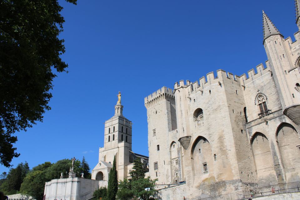 Avignon: Tour With Private Guide - Tour Activities