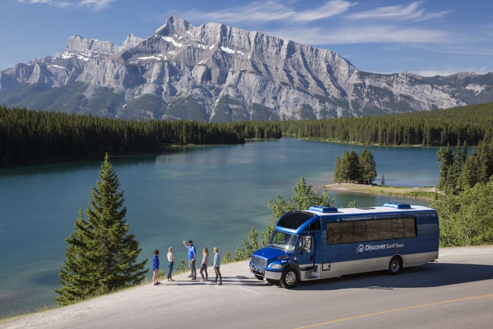 Banff: Evening Wildlife Safari Guided Tour - Animal Sightings