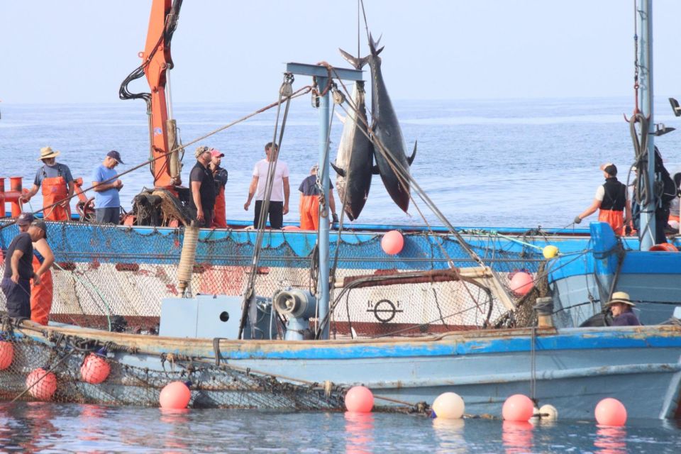 Barbate: Boat Tour to the Almadraba of Conil (Tuna Fishing) - Important Information