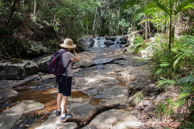 Bellthorpe Rainforest Private Tour - Important Health and Safety